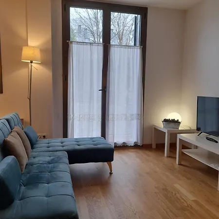 Apartment Confortable Y Espacioso Auet 2